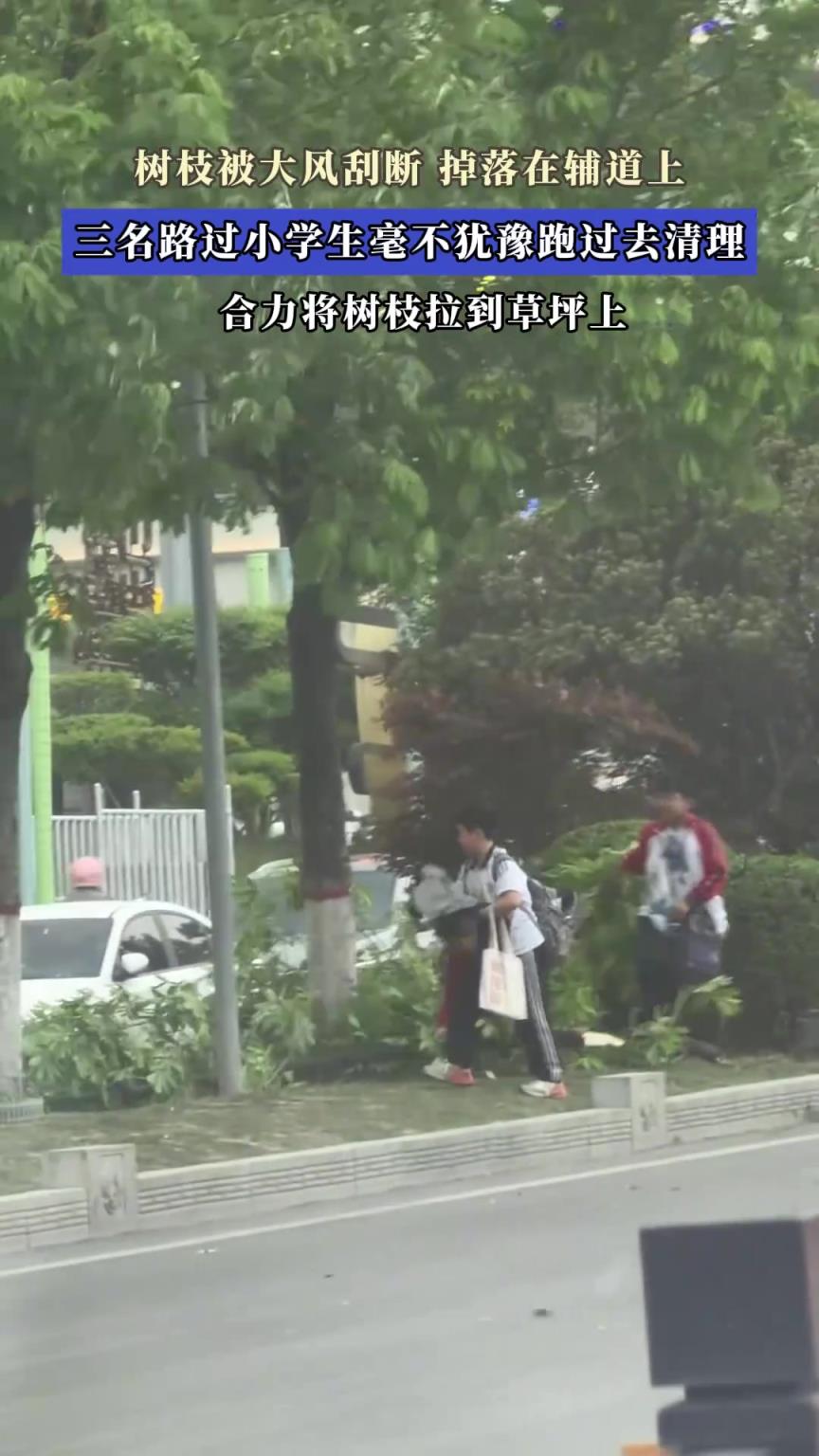 树枝被大风刮断，掉落在辅道上，三名路过学生毫不犹豫跑过去清理