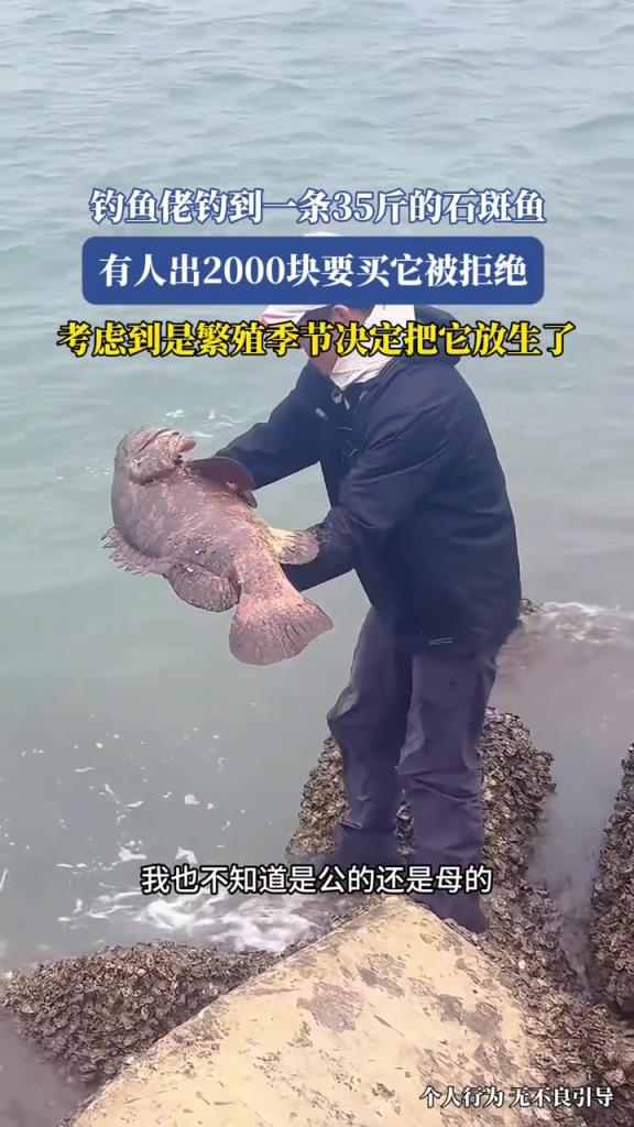 钓鱼佬钓到一条35斤的石斑鱼,有人出2000块要买它被拒绝!