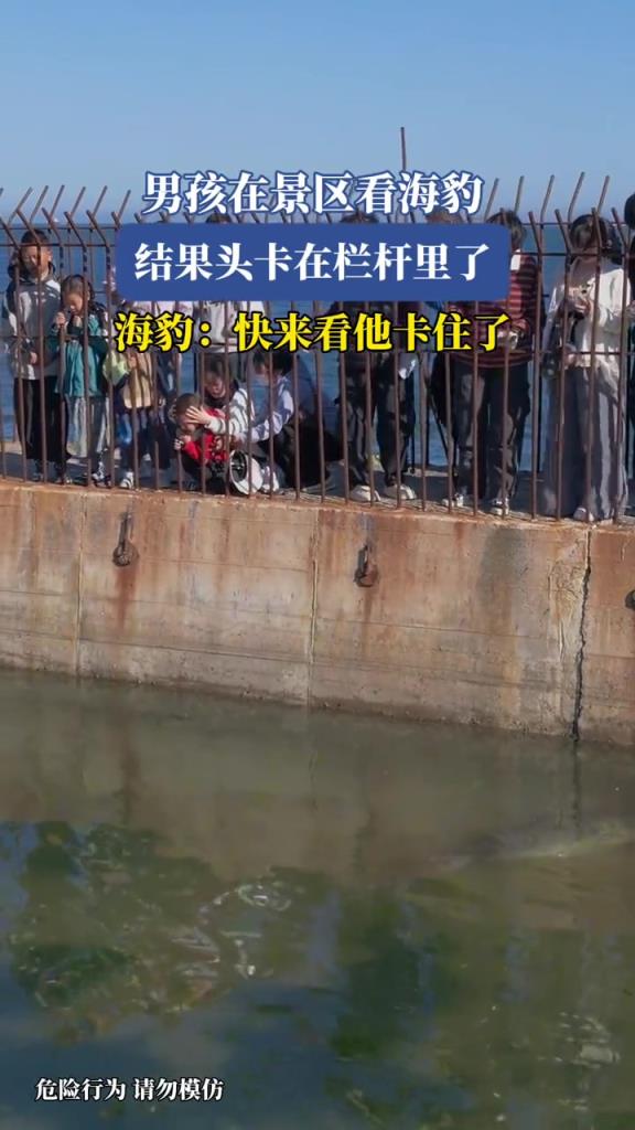 男孩在景区看海豹,结果头卡在栏杆里了!!