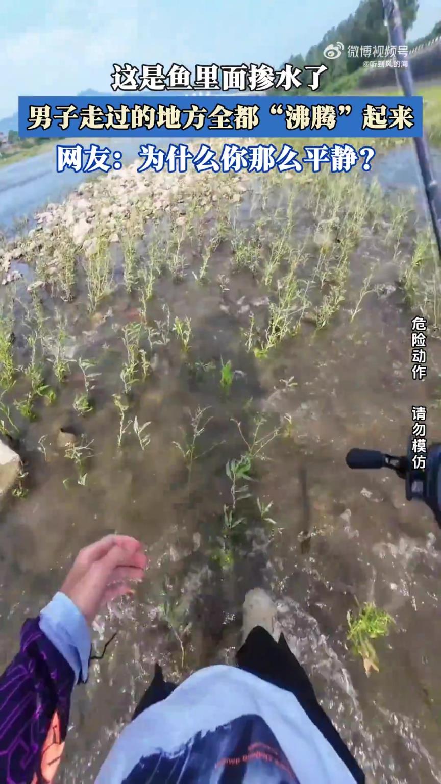 这是鱼里面掺水了，男子走过的地方全都“沸腾”起来！！