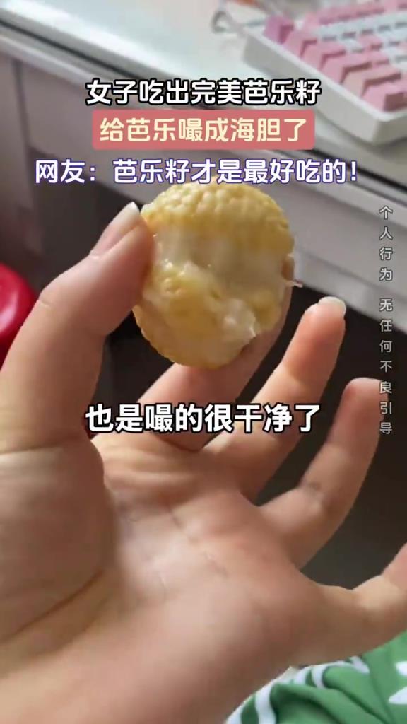 女子吃出完美芭樂籽，給芭樂嘬成海膽了！