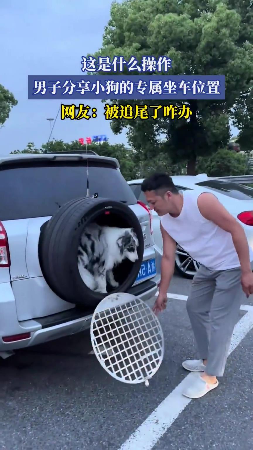 这是什么操作，男子分享小狗的专属坐车位置，网友：被追尾了咋办