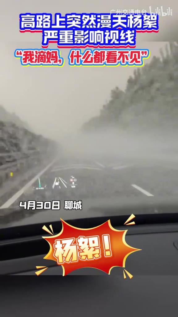 聊城高速上突然满天杨絮！