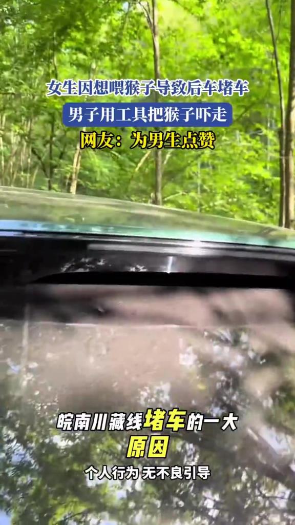 女生因想喂猴子导致后车堵车，男子用工具把猴子吓走