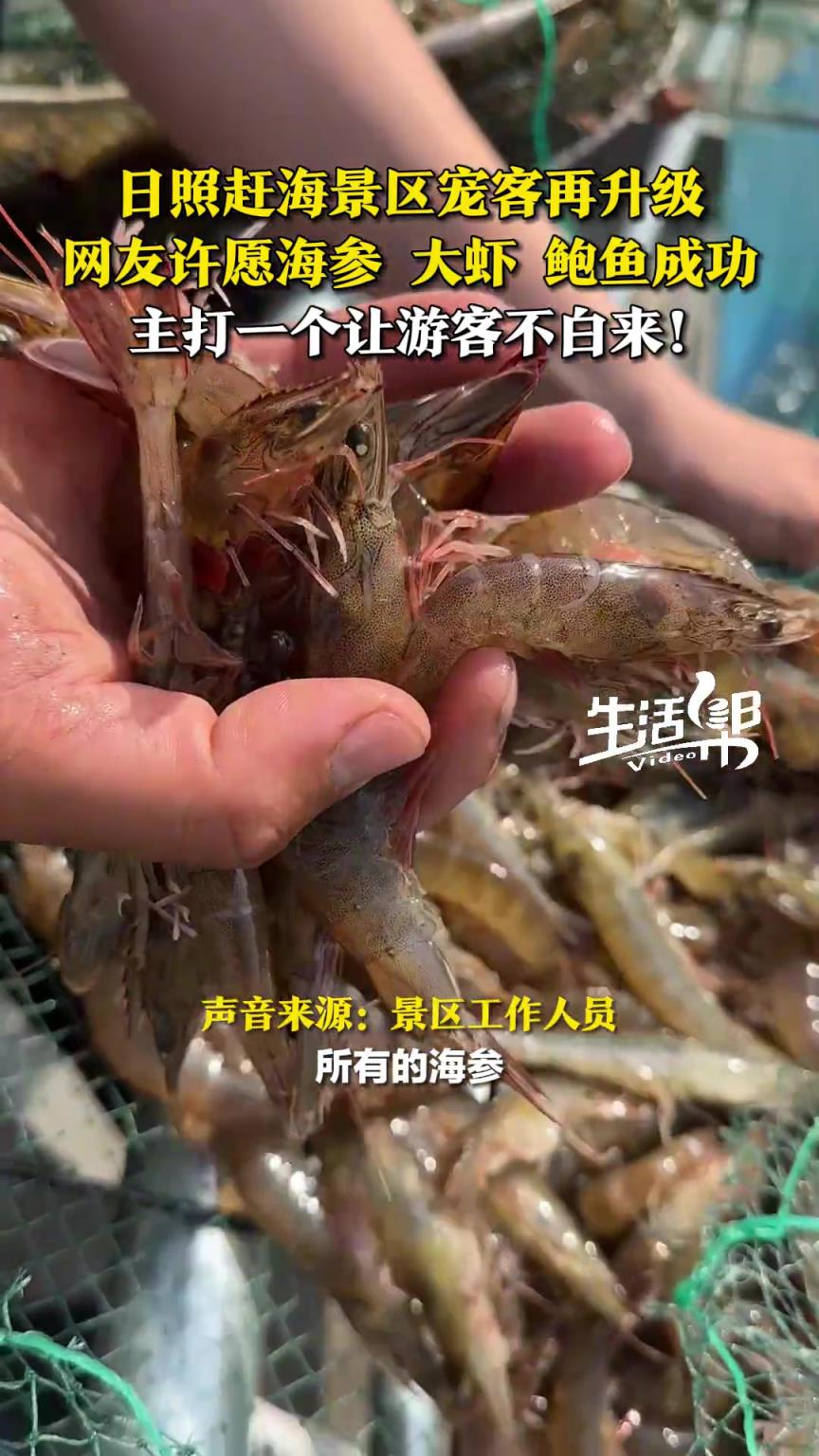 撒蛤蜊已經滿足不了游客了！趕海景區寵客再升級