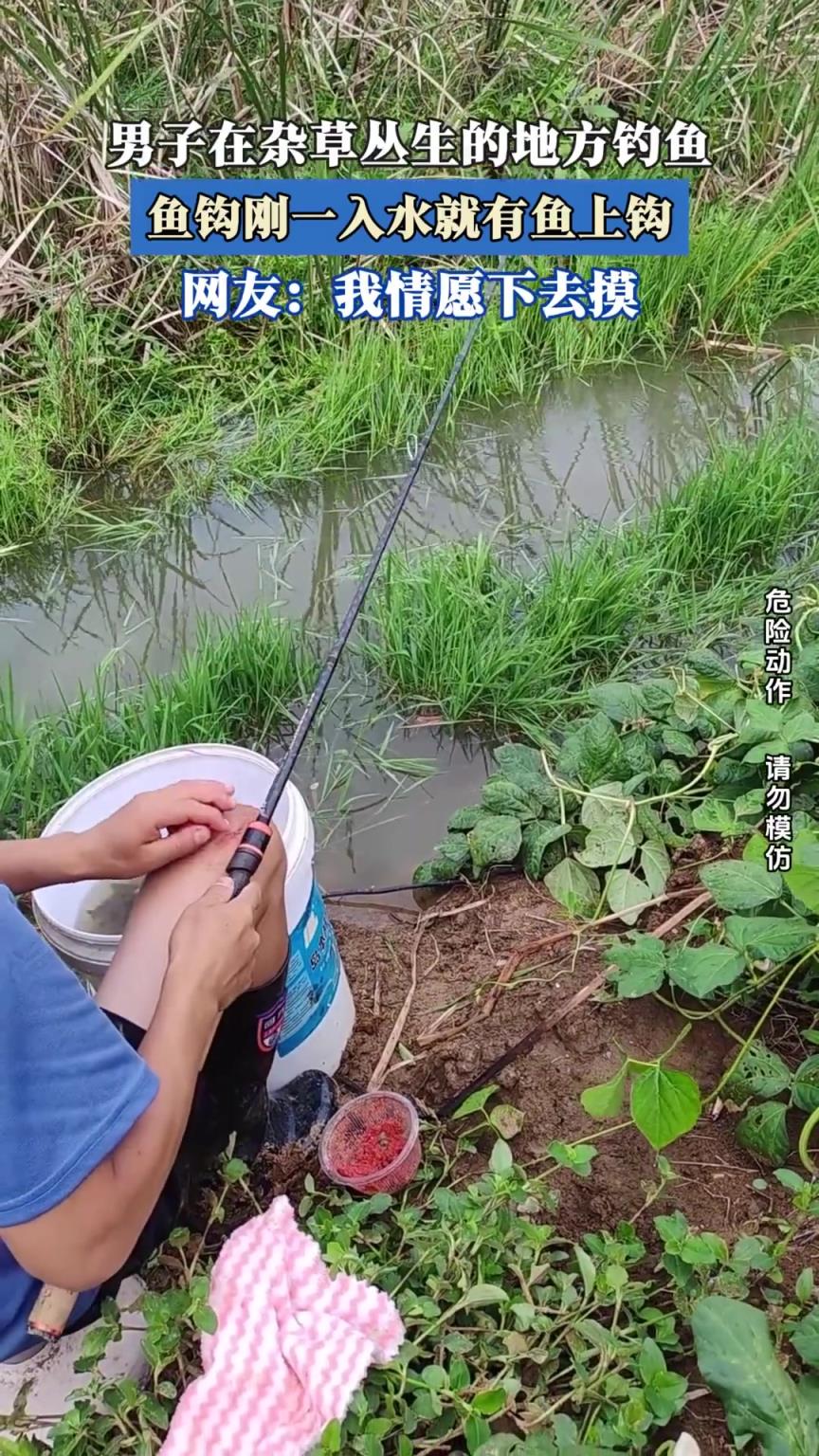 男子在雜草叢生的地方釣魚，魚鉤剛一入水就有魚上鉤。