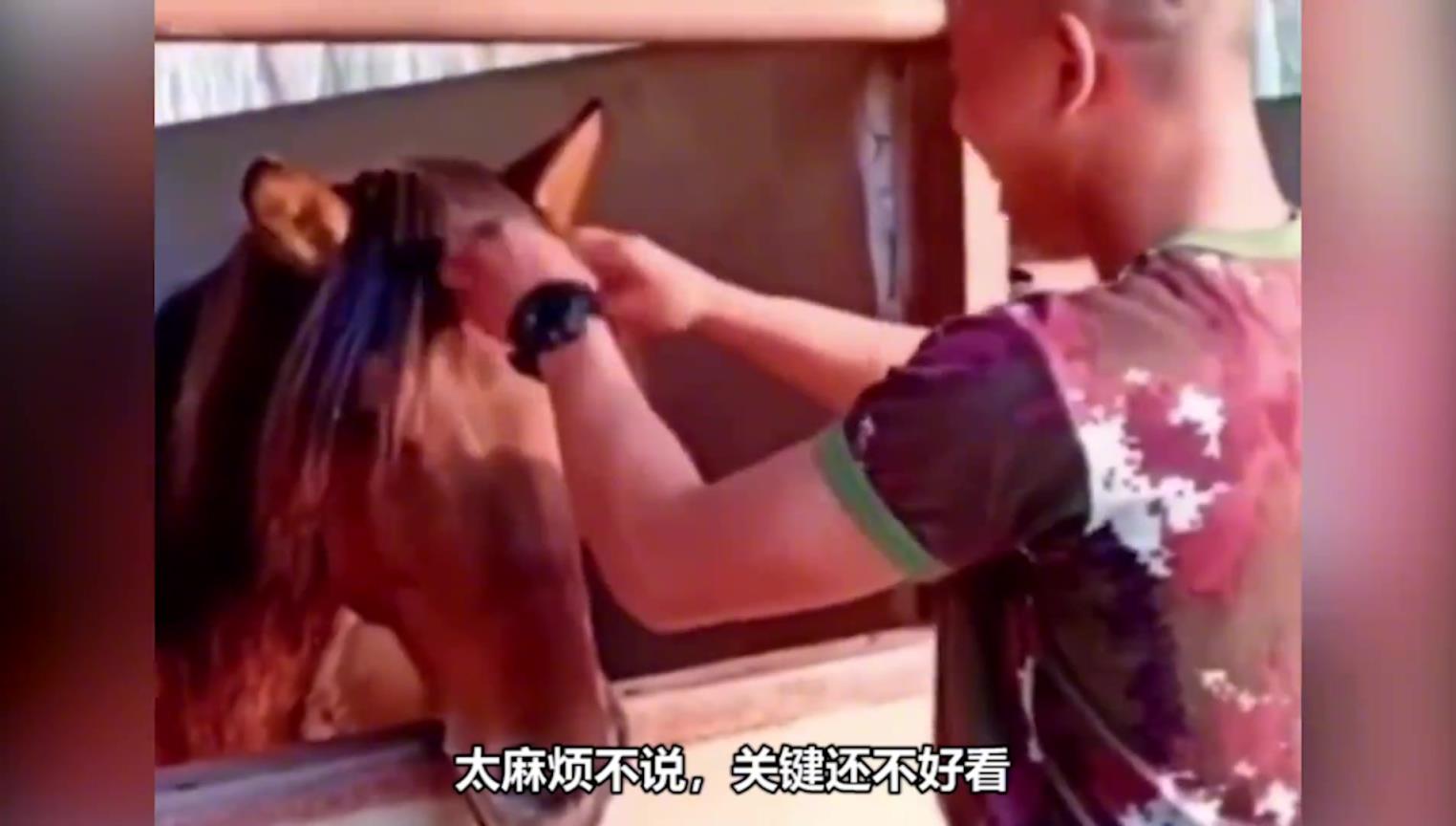 毛发这么短，为什么要给马儿剃毛？