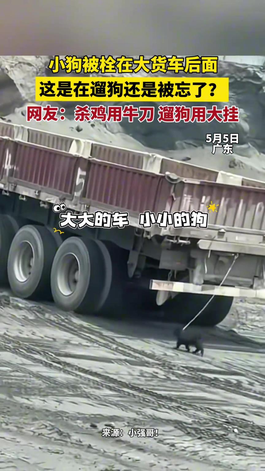 小狗被拴在大貨車后面 這是在遛狗還是被忘了？