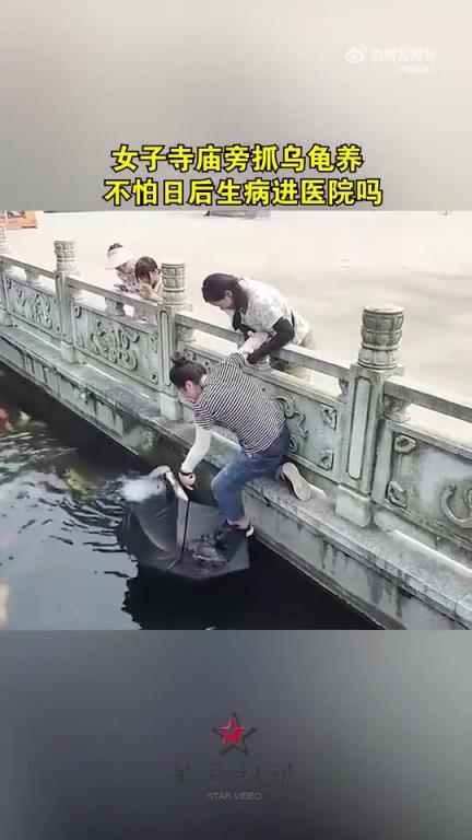 女子在寺庙旁抓乌龟饲养