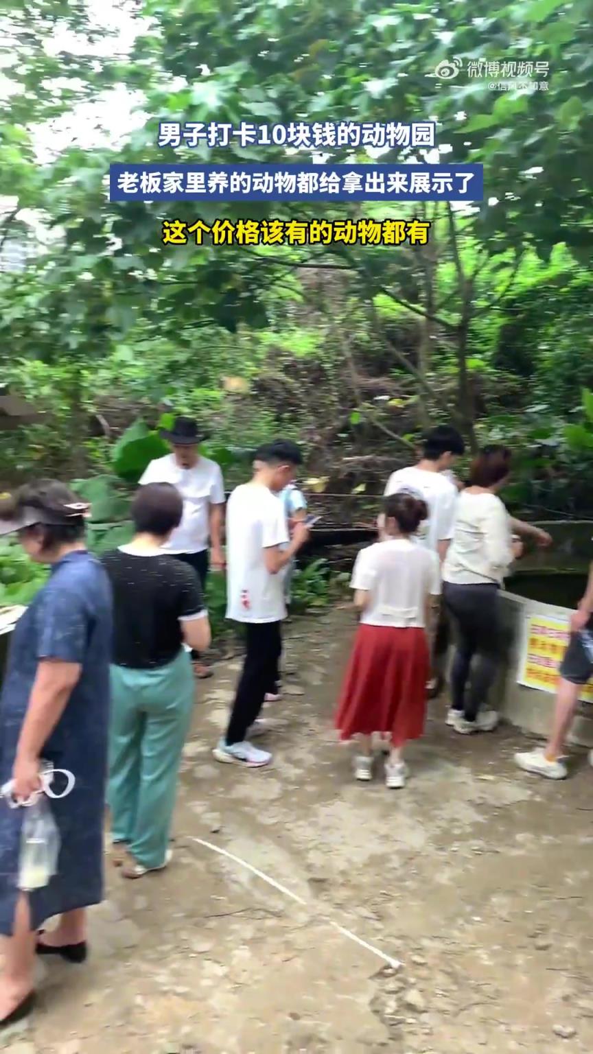 男子打卡10塊錢的動物園！！