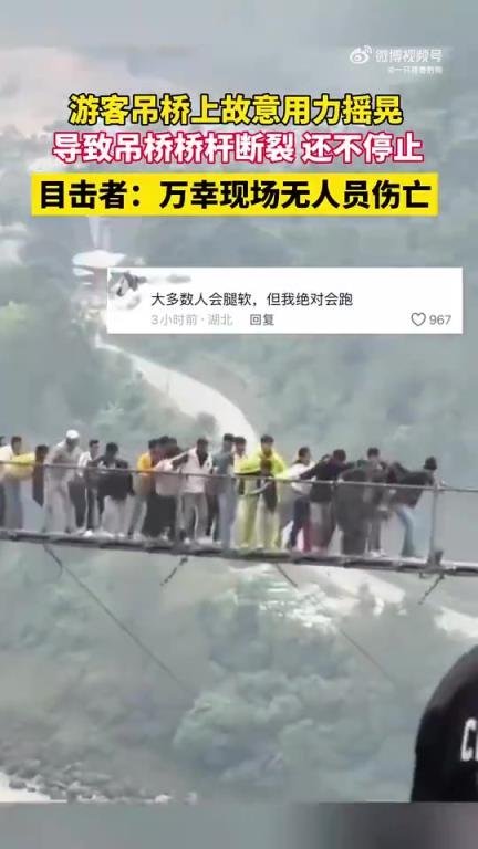 游客在吊桥上故意猛力摇晃，致桥标断裂仍不停