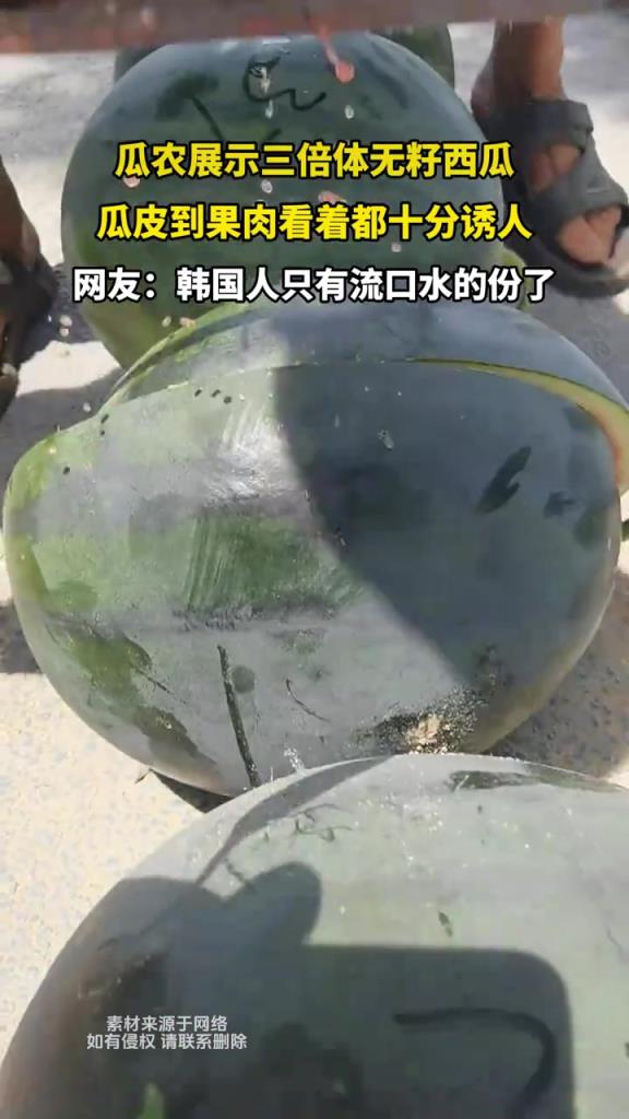瓜农展示三倍体无籽西瓜 瓜皮到果肉看着都十分诱人