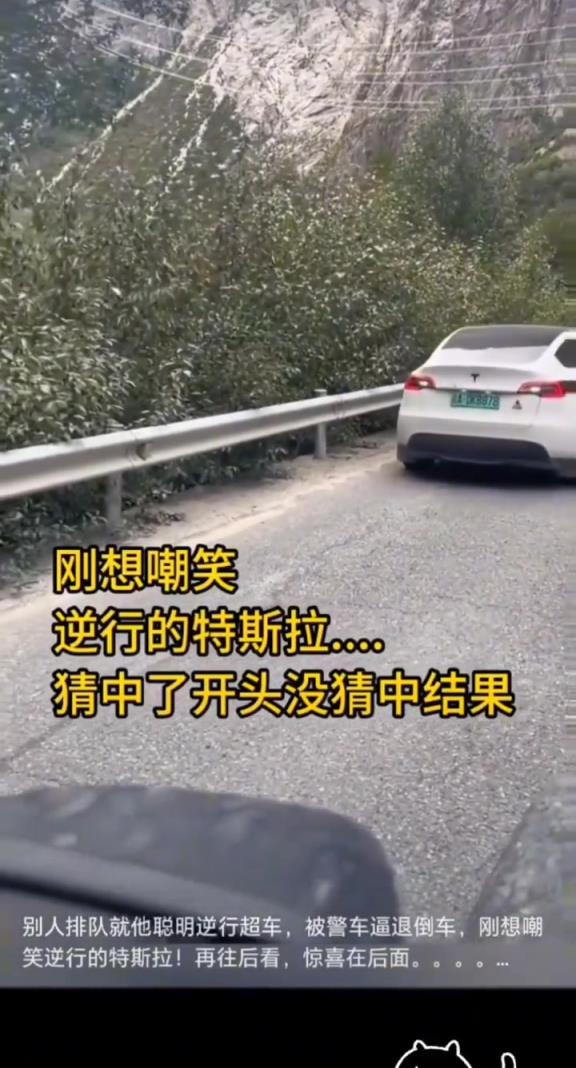 看到它的车屁股倒过来时我真没忍住