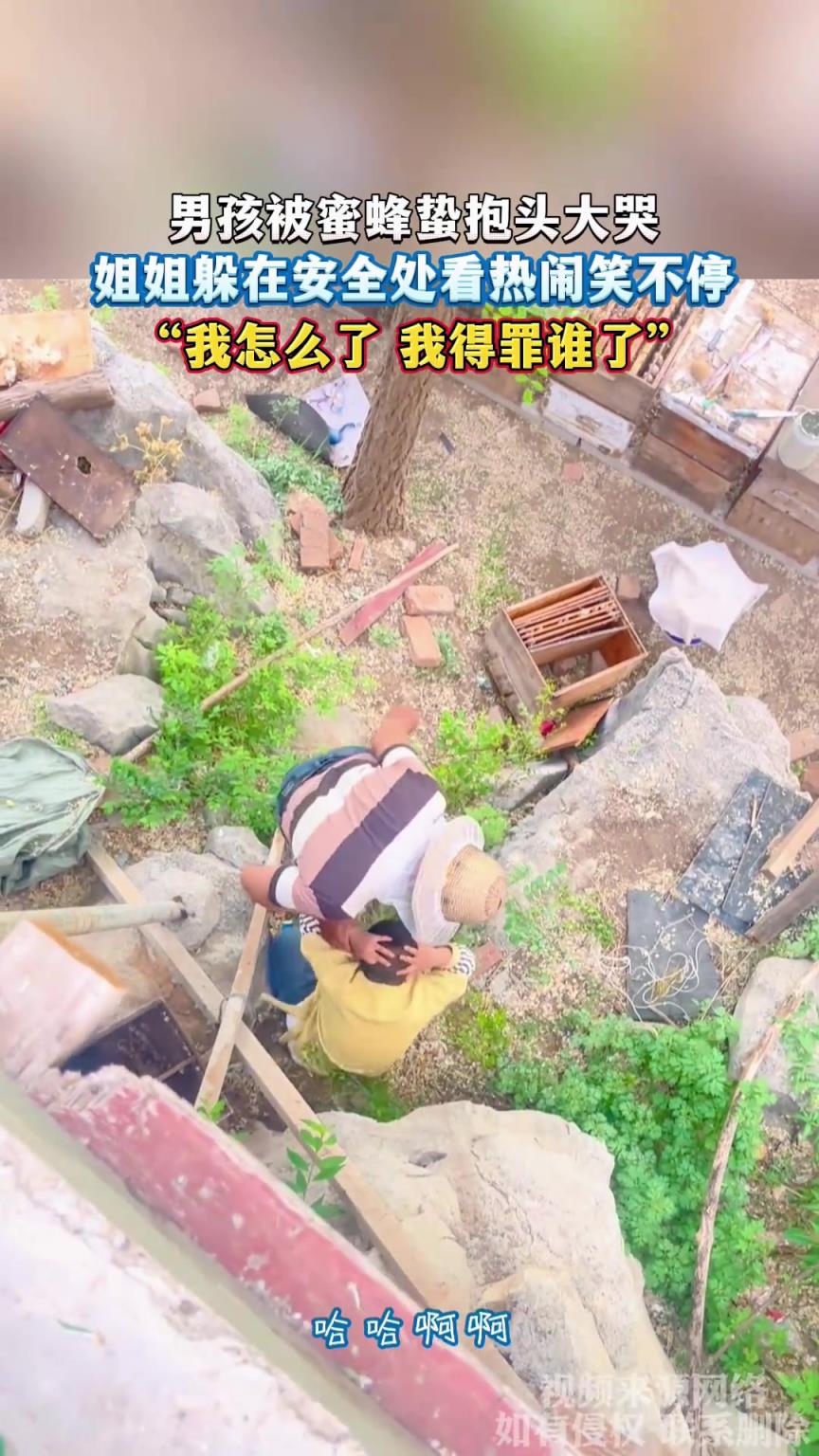 男孩被蜜蜂蛰抱头大哭，姐姐躲在安全处看热闹笑不停