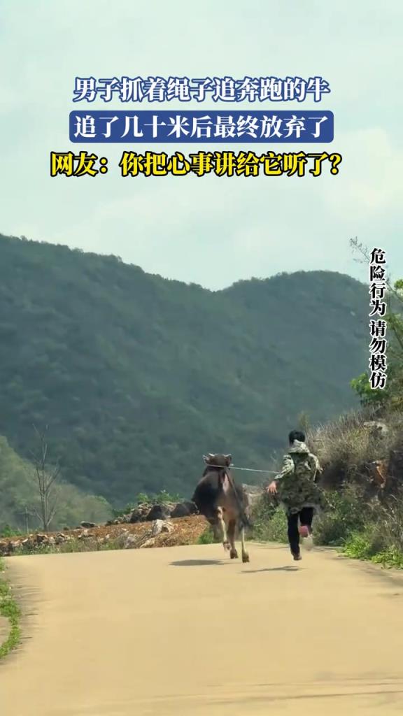 男子抓着绳子追奔跑的牛 追了几十米后最终放弃了