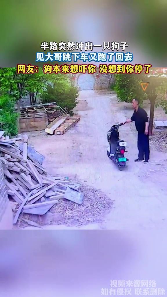 半路突然冲出一只狗子 见大哥跳下车又跑了回去