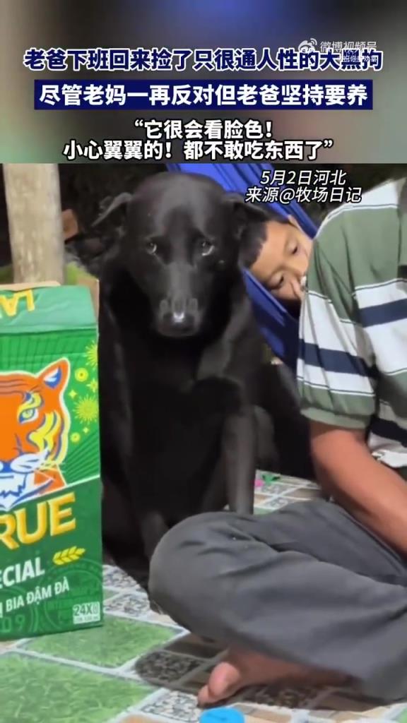 老爸捡通人大黑狗，老妈反对仍坚持养