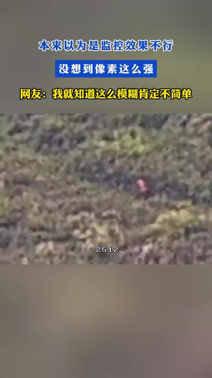 本來以為是監(jiān)控效果不行，沒想到像素這么強(qiáng)
