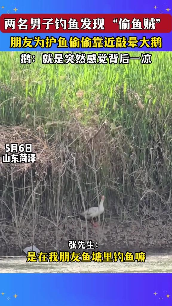 鵝：就是突然感覺背后一涼！
