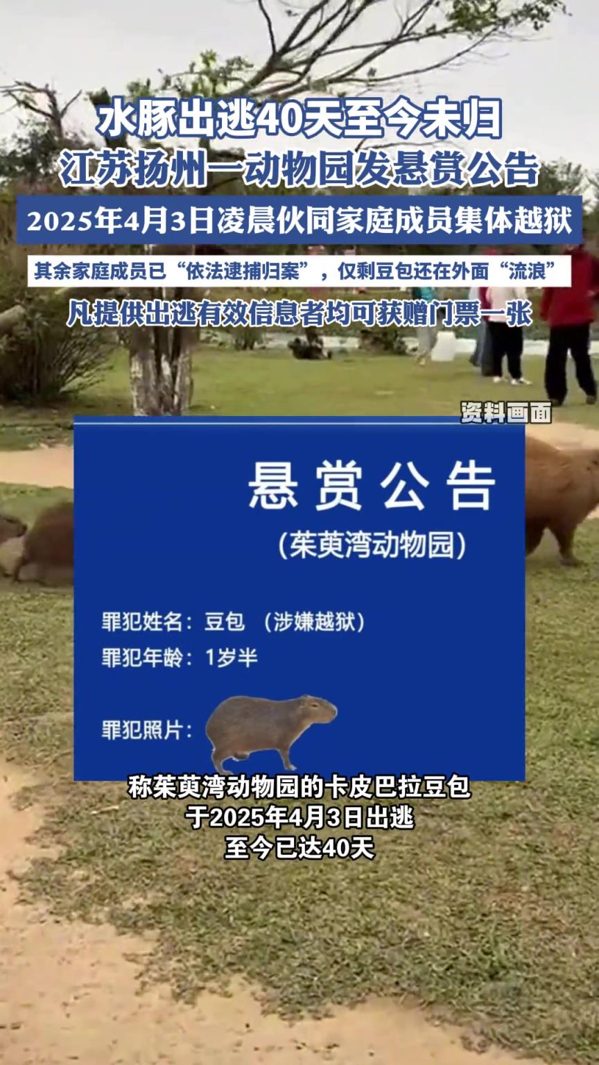 水豚出逃40天至今未歸，江蘇揚州一動物園發(fā)懸賞公告