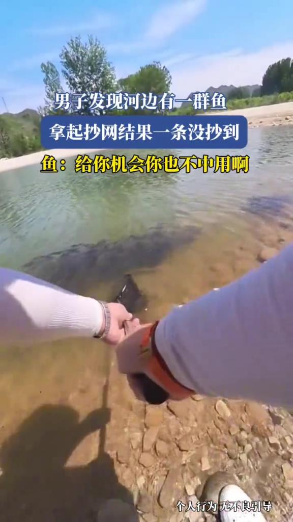 男子發(fā)現(xiàn)河邊有一群魚,拿起抄網(wǎng)結(jié)果一條沒抄到!!