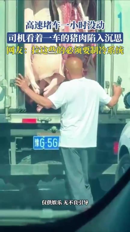 高速堵車一小時沒動，司機看著一車的豬肉陷入沉思