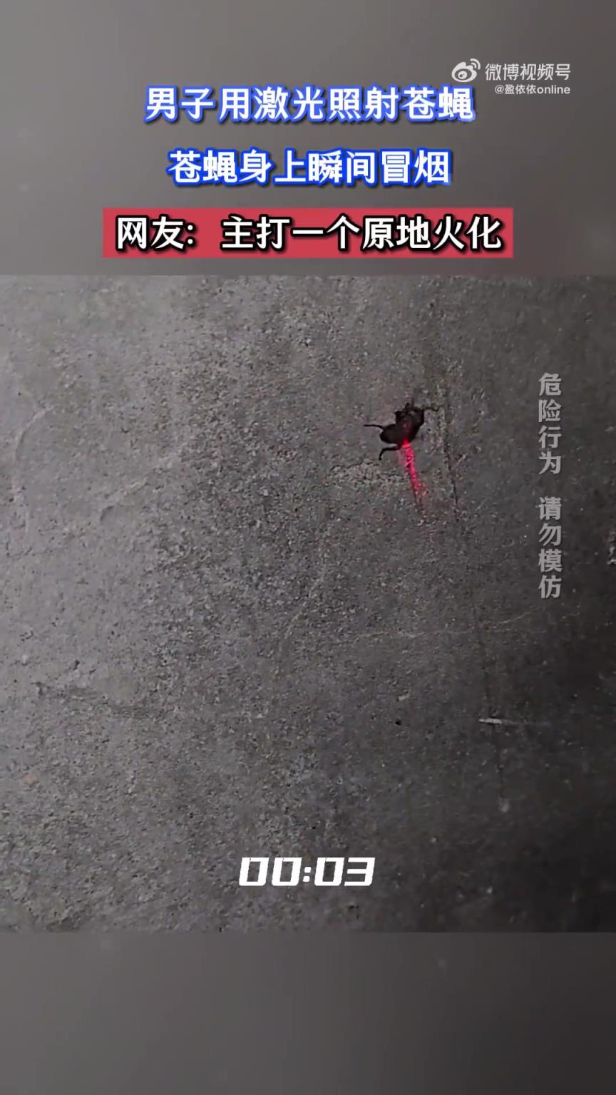 男子用激光照射蒼蠅，蒼蠅身上瞬間冒煙，網(wǎng)友：主打一個原地火化