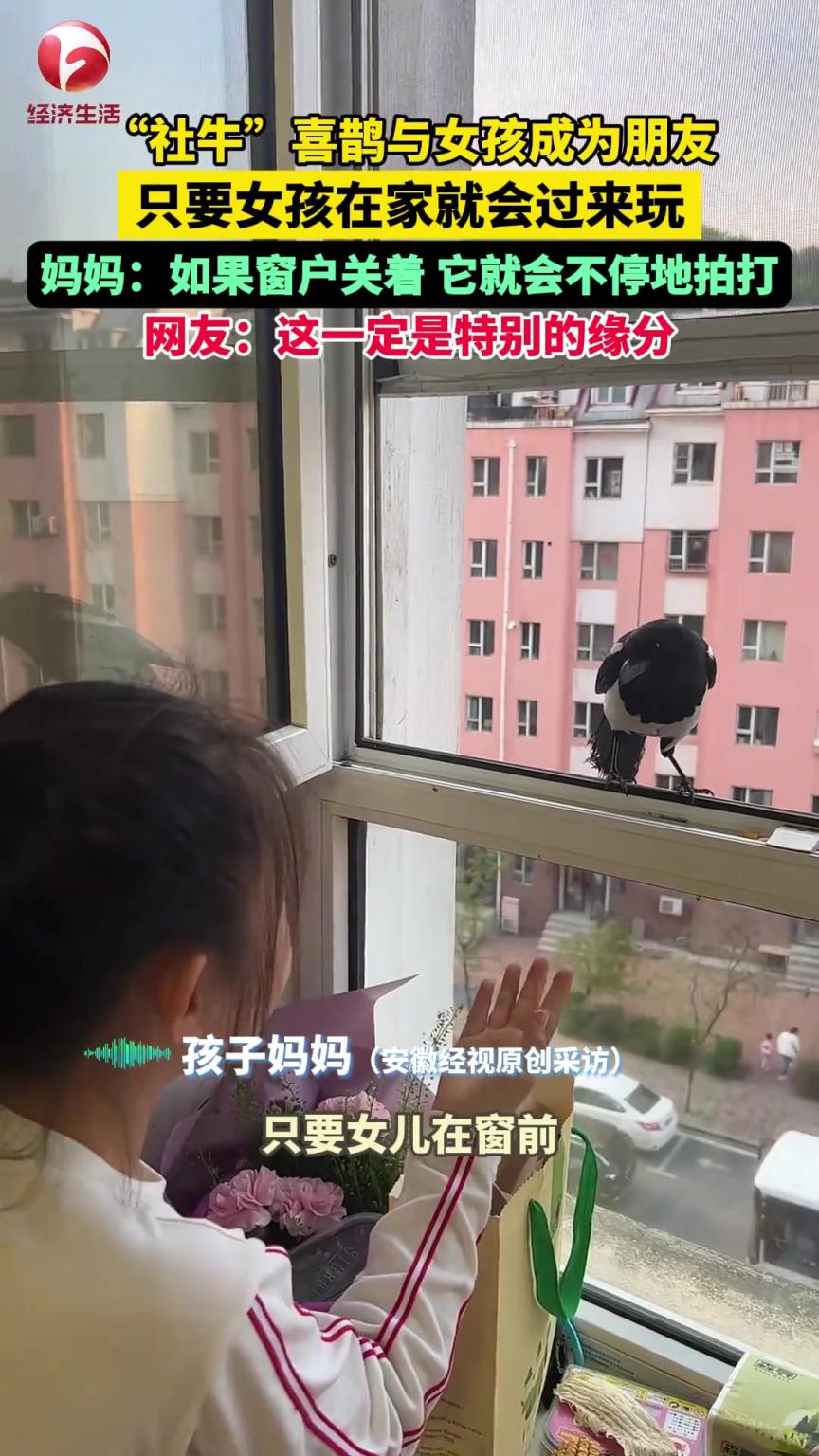“社?！毕铲o與女孩成為朋友，只要女孩在家就會過來玩