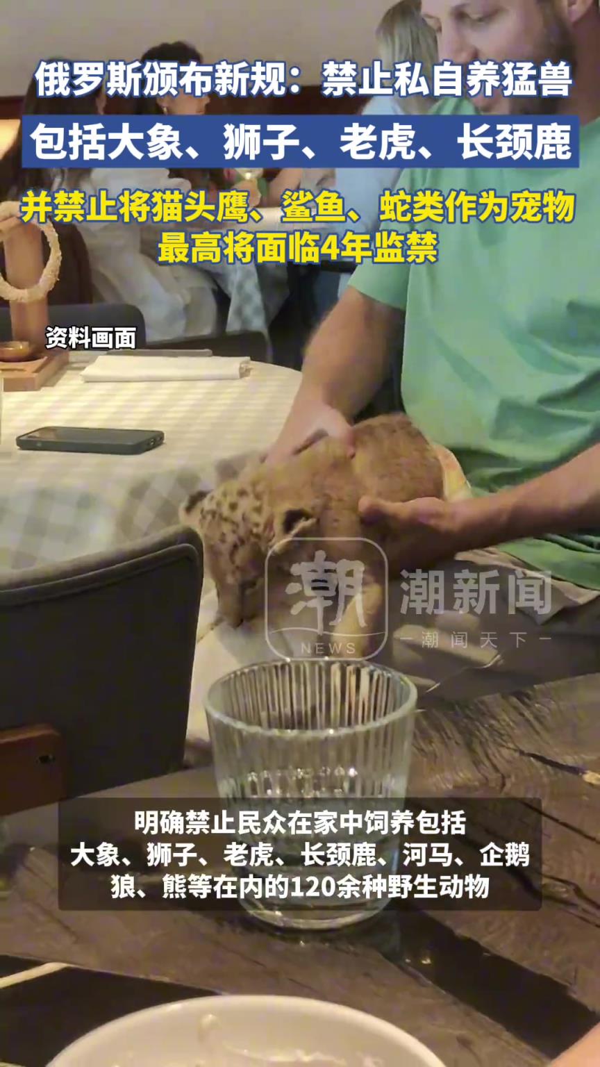 俄羅斯頒布新規(guī)：禁止私自養(yǎng)猛獸