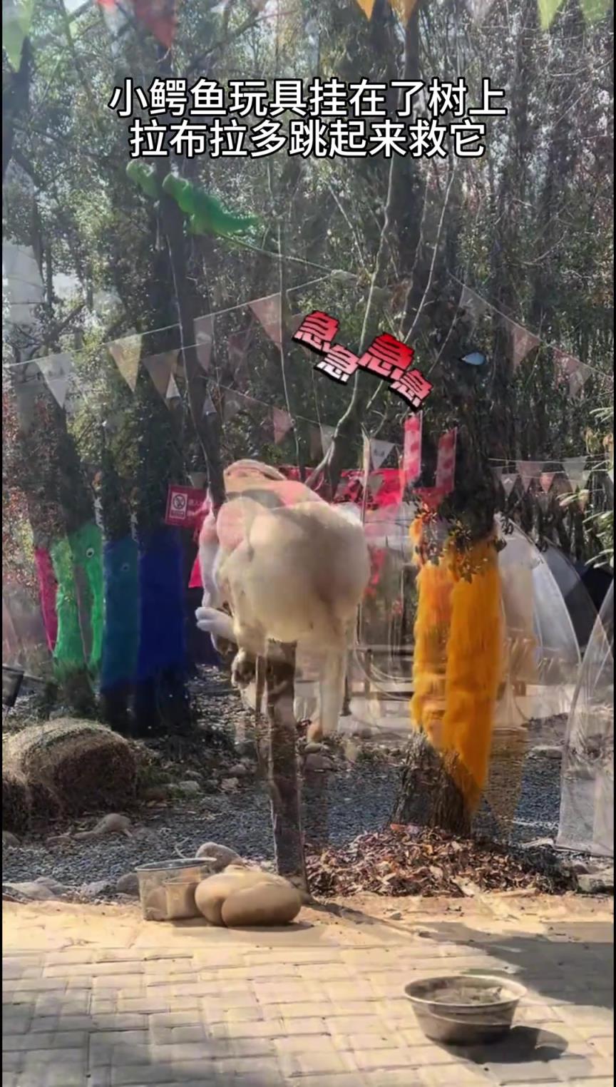 就掛這吧，省得亂跑