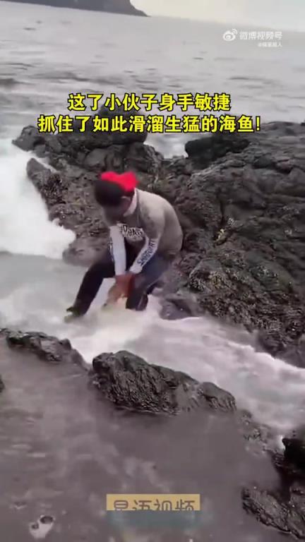 小伙子身手敏捷，居然抓住了如此滑溜生猛的海魚！
