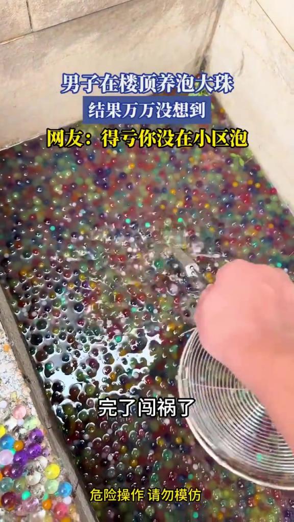 男子在樓頂養(yǎng)泡大珠，結(jié)果萬萬沒想到