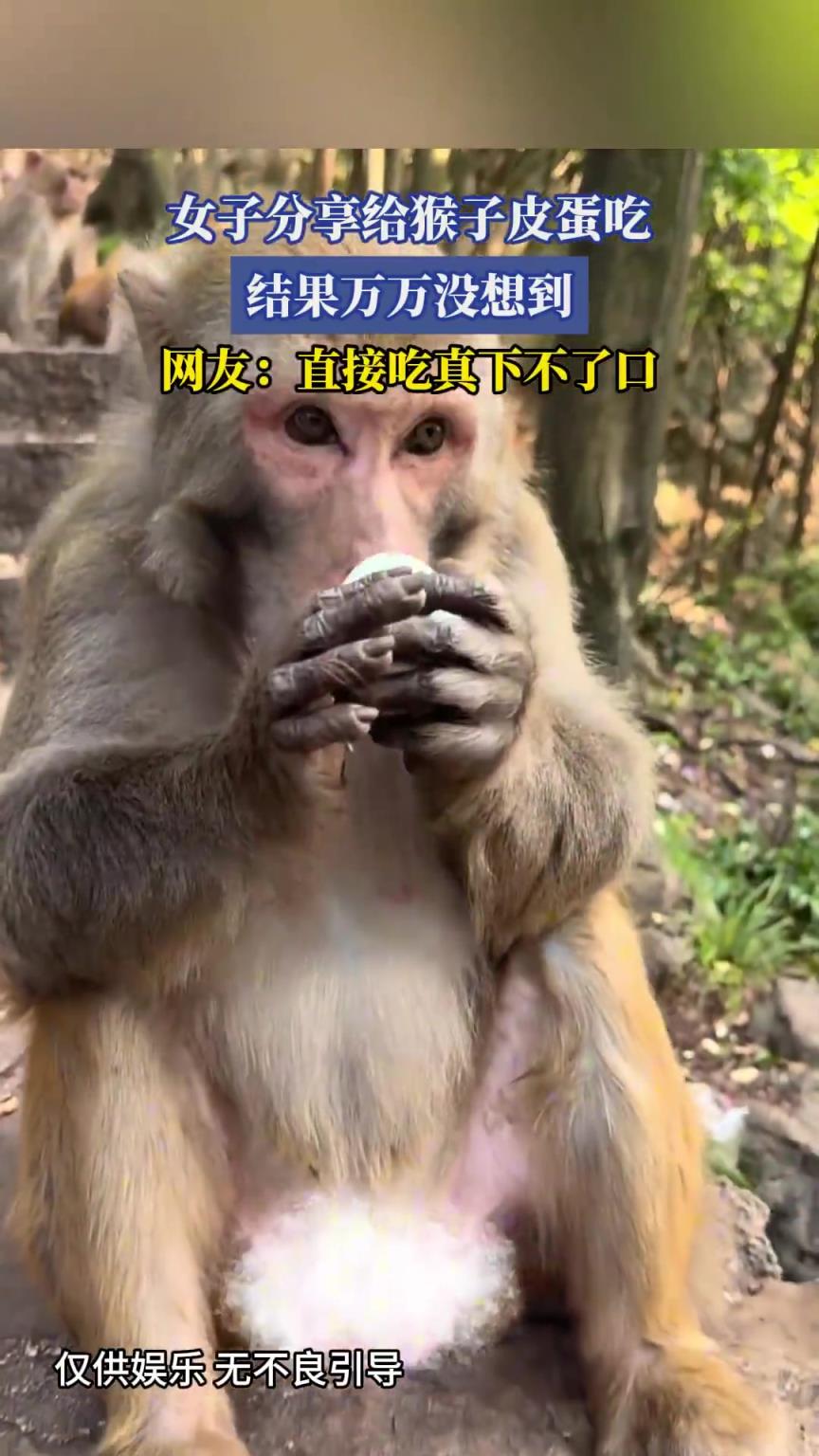 女子分享給猴子皮蛋吃，結(jié)果萬萬沒想到，網(wǎng)友：直接吃真下不了口