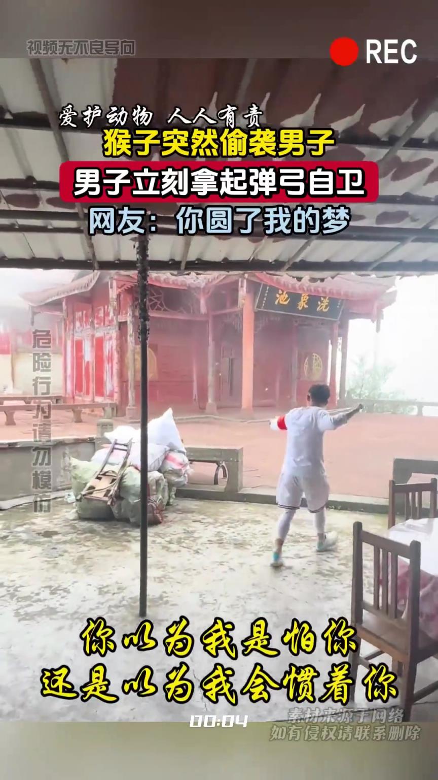 猴子突然偷襲男子，男子立刻拿起彈弓自衛(wèi)，網(wǎng)友：你圓了我的夢