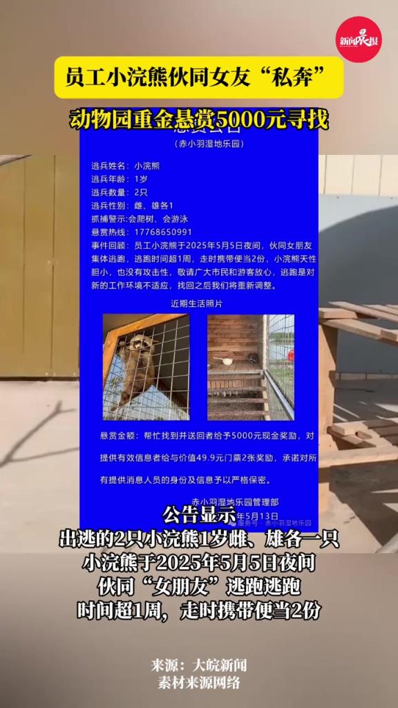 江蘇一樂園小浣熊出逃，當(dāng)?shù)兀簯屹p5000元緊急尋找