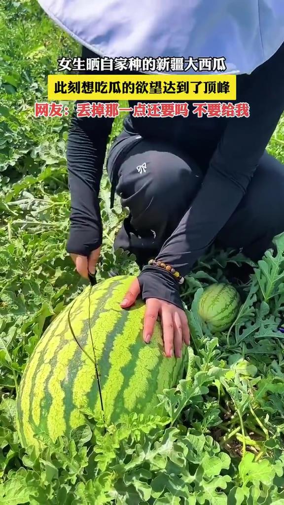 女生曬自家種的新疆大西瓜，此刻想吃瓜的欲望達(dá)到了頂峰！