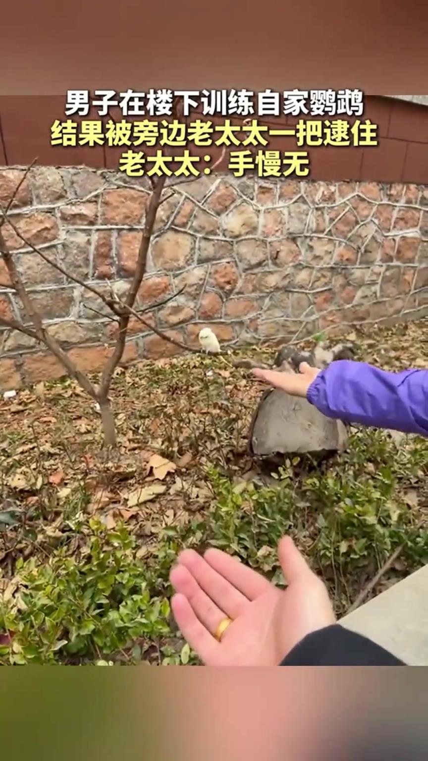 老太太：你的？我樹上摘的，怎么就成你的了？