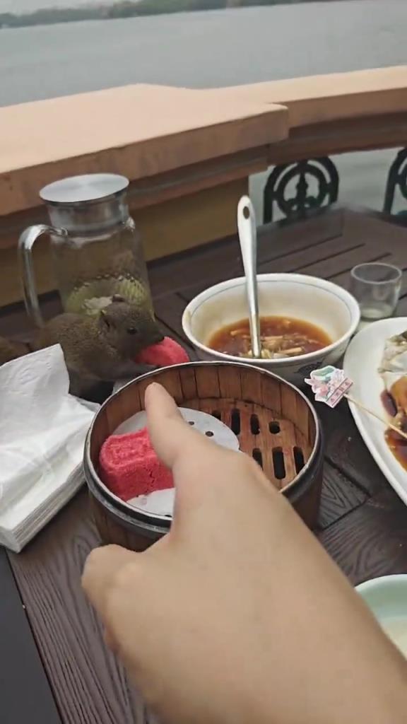 你自己不也沒動(dòng)你的西湖醋魚嘛?。? title=