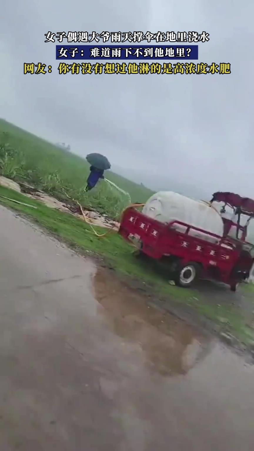 女子偶遇大爺雨天撐傘在地里澆水，女子：難道雨下不到他地里？