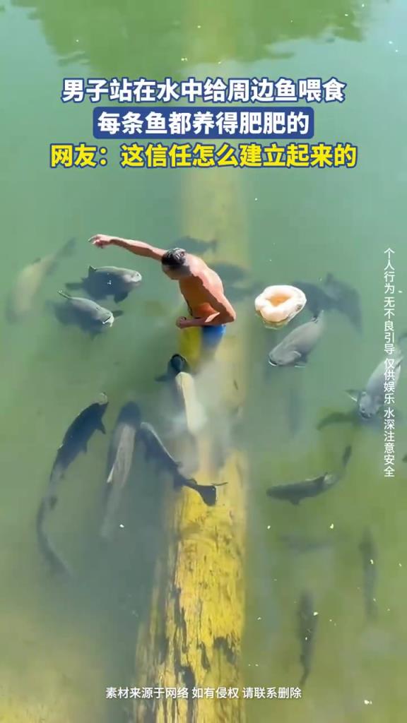 男子水中投食養(yǎng)出 “巨無霸魚群”，網(wǎng)友：這是在養(yǎng)魚豬？