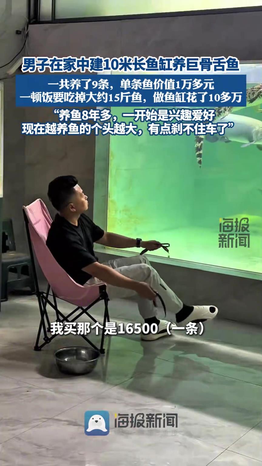 男子在家中建10米長魚缸養(yǎng)巨骨舌魚