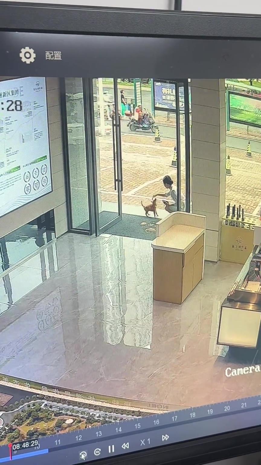 保安出現(xiàn)的這么快，肯定是觀察女生很久了??！