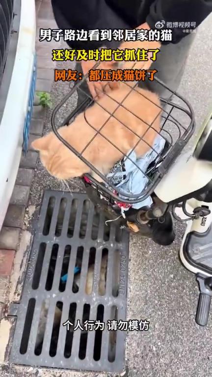 男子路邊偶遇鄰居家貓咪，及時出手將其抓住