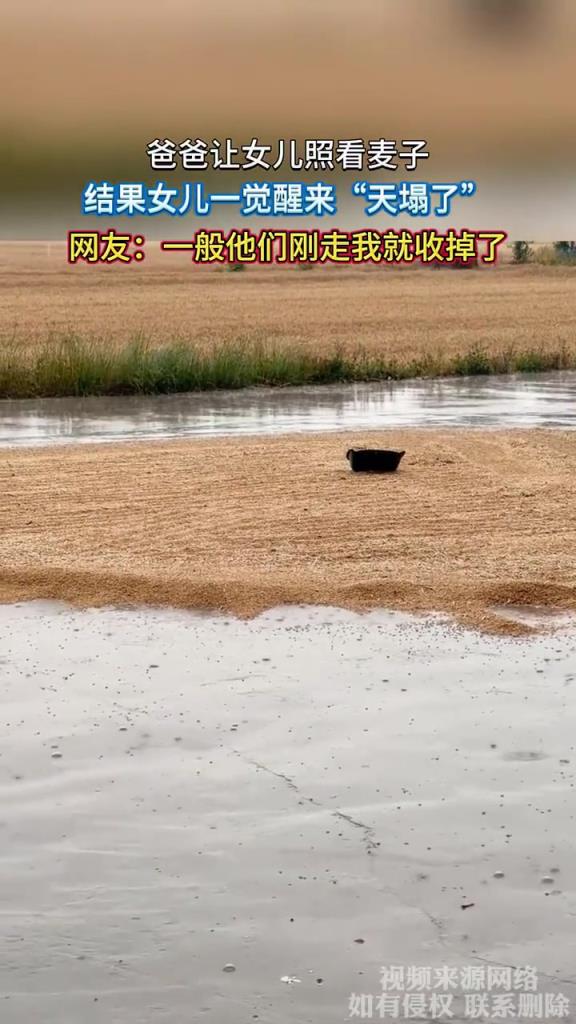 爸爸讓女兒照看麥子 結(jié)果女兒一覺醒來天塌了