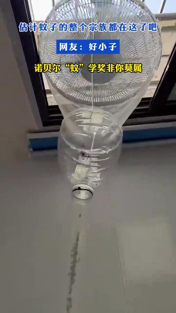 估計蚊子的整個宗族都在這了吧！