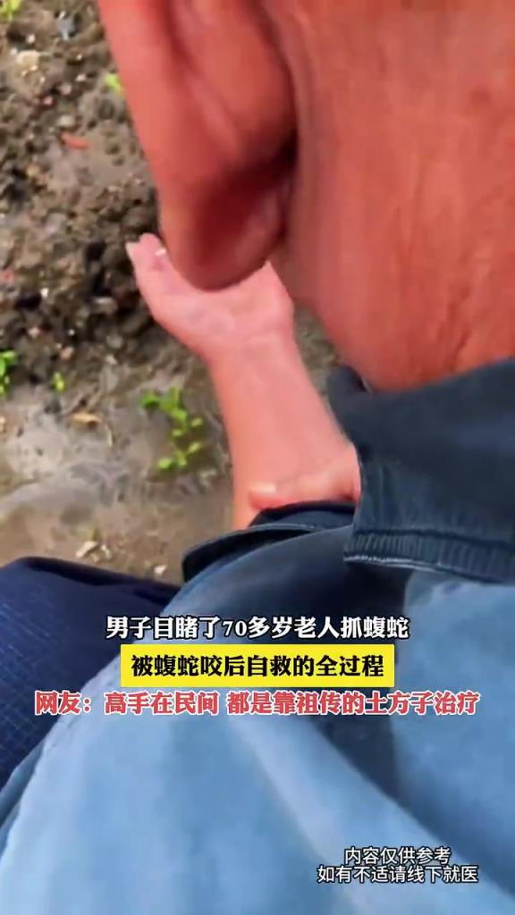 男子目睹了70多歲老人抓蝮蛇，被蝮蛇咬后自救的全過程