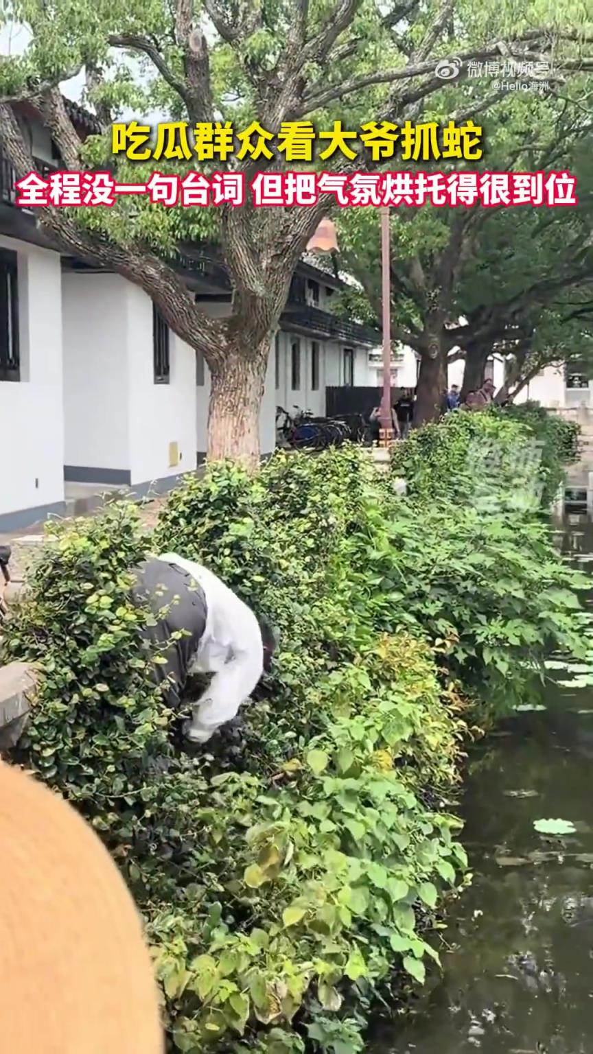 吃瓜群眾看大爺抓蛇：全程沒有一句臺詞，但把氣氛烘托得恰到好處