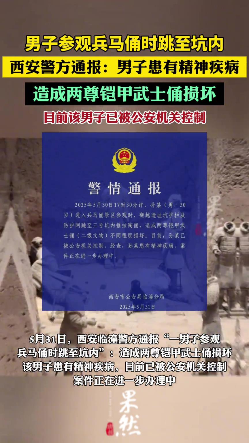男子參觀兵馬俑時(shí)跳入坑內(nèi)，造成俑受損！