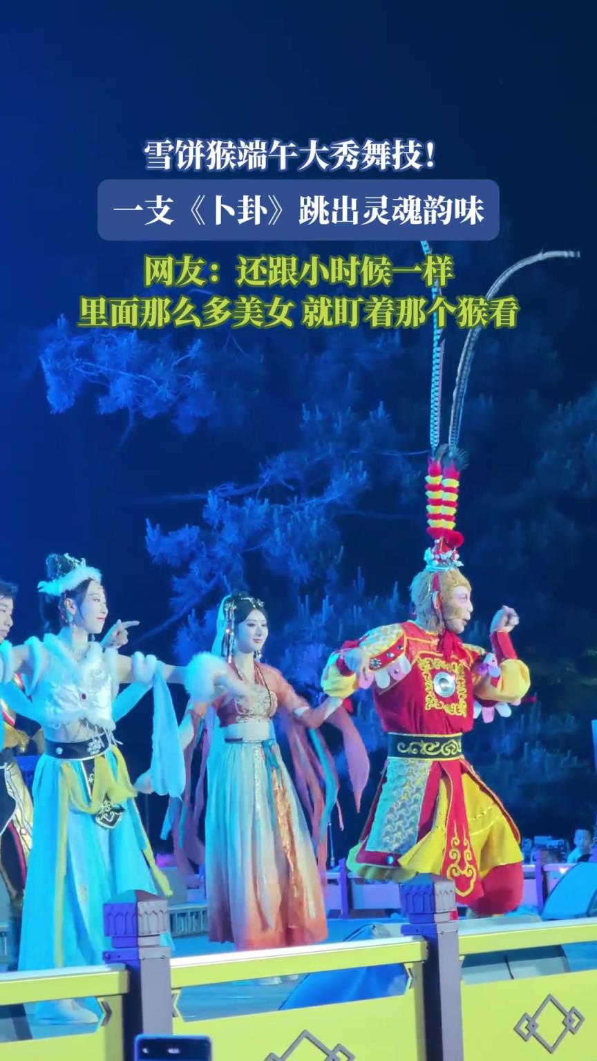 雪餅猴跳卜卦，網(wǎng)友：還跟小時(shí)候一樣，那么多美女就盯著那個(gè)猴看