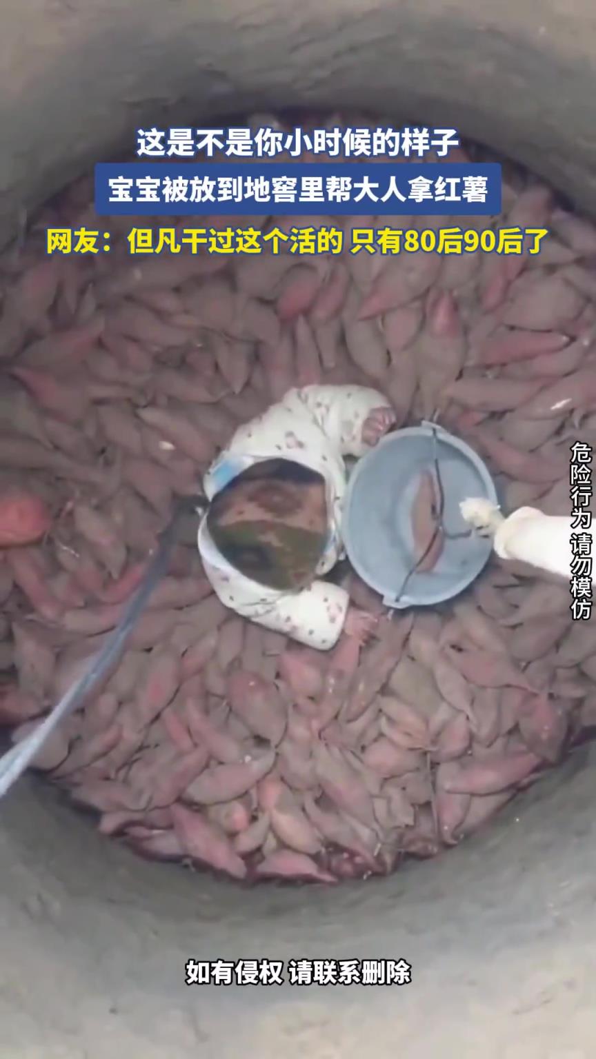 這是不是你小時(shí)候的樣子？寶寶被放到地窖里幫大人拿紅薯??！